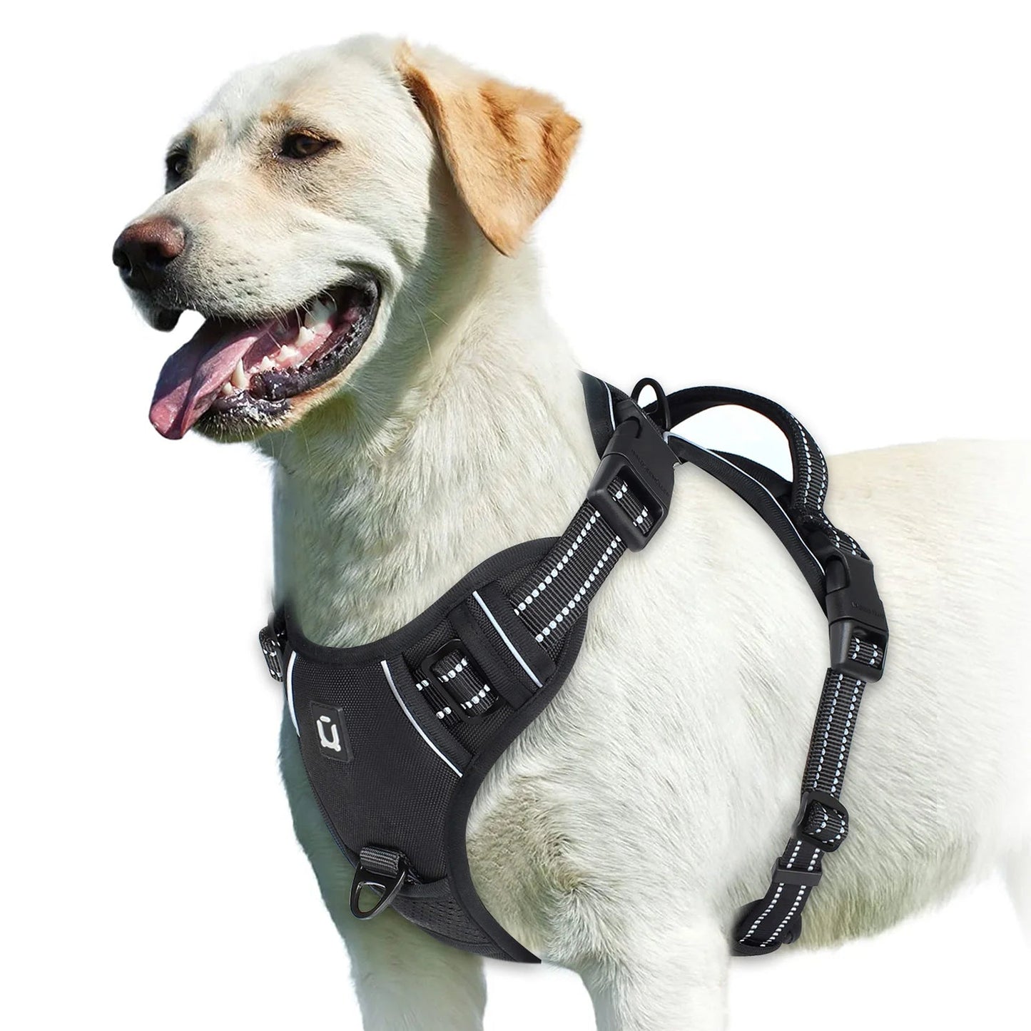 HaloControl Harness